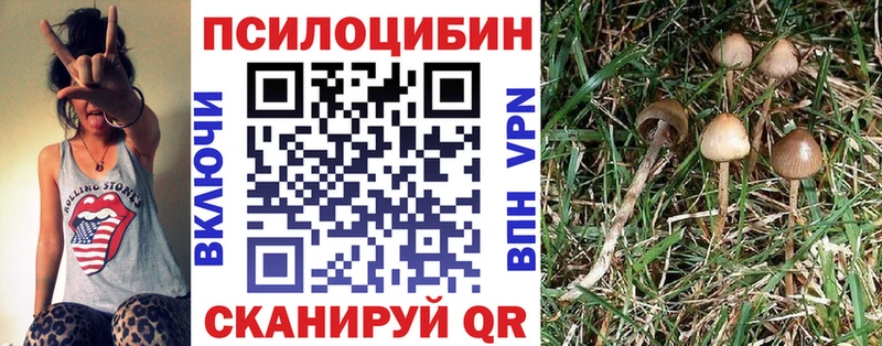 Купить где  Белый  Псилоцибиновые грибы Magic Shrooms 